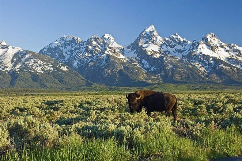 Homes Sale Near Grand Tetons Homes Sale Near Grand Tetons
